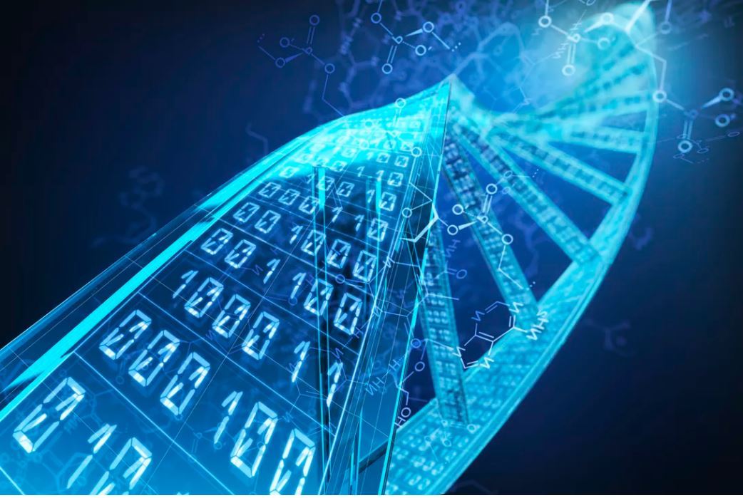 To store humanity's limitless digital data, DNA is given an artificial upgrade.